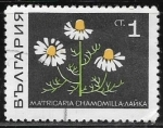Stamps Bulgaria -  Flores - Matricaria chamomilla)