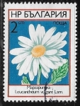 Stamps Bulgaria -  Flores - Margarita
