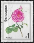 Stamps Bulgaria -  Flores - Rosa