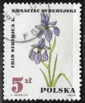 Stamps Poland -  Flores - Iris sibirica