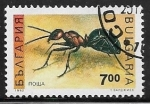 Sellos de Europa - Bulgaria -  Insectos - Red Wood Ant