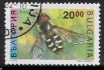 Stamps Bulgaria -  Insectos - Pied Hoverfly 
