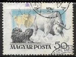 Stamps Hungary -  Fauna - Puli Sheepdog