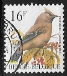 Stamps Belgium -  Aves - Bohemian Waxwing 