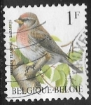 Sellos de Europa - B�lgica -  Aves - Common Redpoll
