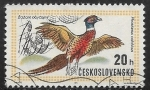 Stamps Czechoslovakia -  Aves - Common Pheasant 