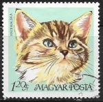 Sellos de Europa - Hungr�a -  Gatos - Gato domestico
