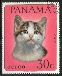 Sellos del Mundo : America : Panam : Gatos - Gato domestico