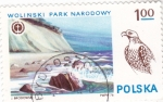 Stamps Poland -  Parque Nacional Wolinski y Águila