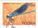 Stamps Poland -  Demoiselle con bandas