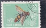 Stamps Romania -  abeja