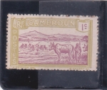 Stamps Cameroon -  GANADO