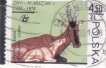 Stamps Poland -  ANTILOPES- 50 ANIV,ZOO VARSOVIA