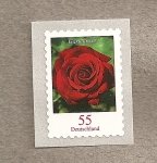 Stamps Germany -  Rosa de jardín