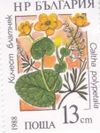 Sellos de Europa - Bulgaria -  FLORES-