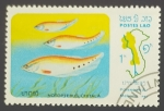 Stamps Laos -  Notopterus chitala