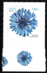 Stamps Estonia -  Flor de aciano
