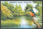 Sellos de Europa - Isla de Jersey -  aves