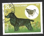 Stamps : Europe : Bulgaria :  3131 - Perro de Caza