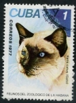 Sellos de America - Cuba -  Felinos de Zoo de La Habana