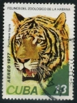 Stamps : America : Cuba :  Felinos de Zoo de La Habana