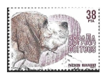 Stamps : Europe : Spain :  Edif2714 - Pachón Navarro