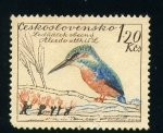 Stamps Europe - Czechoslovakia -  Martín Pescador