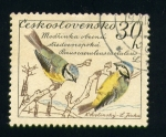 Stamps : Europe : Czechoslovakia :  Parus Caeruleus Caeruleus