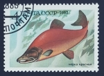 Sellos de Europa - Rusia -  Salmon Sockeye  (Oncorhynchus nerka)