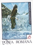 Sellos de Europa - Rumania -  Águila calva (Haliaeetus leucocephalus)