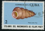 Stamps : America : Cuba :  Aniv. Nacimiento Felipe Poey