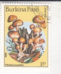 Stamps : Africa : Burkina_Faso :  SETAS