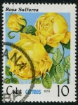 Stamps Cuba -  Rosa amarilla