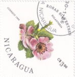 Stamps : America : Nicaragua :  FLORES- rosas silvestres