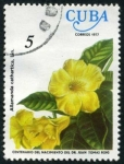 Stamps Cuba -  Flor