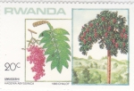 Stamps : Africa : Rwanda :  ARBOL Y HOJAS 