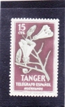 Stamps Morocco -  HUERFANOS TELÉGRAFO ESPAÑOL