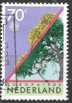 Stamps Netherlands -  Paises Bajos