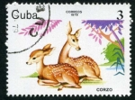 Stamps : America : Cuba :  Crias de Animales Salvajes