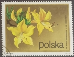 Sellos del Mundo : Europa : Polonia : Flores