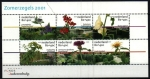 Stamps Netherlands -  Obra social