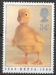 Stamps United Kingdom -  Reino Unºido