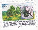 Stamps : Asia : Mongolia :  Pinus sibirica