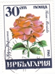 Stamps : Europe : Bulgaria :  FLORES- rosa