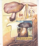 Stamps Guinea -  SETAS