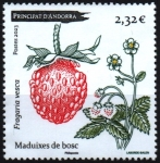 Stamps Andorra -  Fresa salvaje