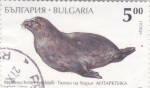 Stamps Bulgaria -  foca