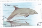 Stamps : America : Cuba :  delfín