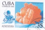 Sellos de America - Cuba -  Acuicultura