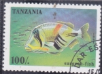 Sellos de Africa - Tanzania -  PEZ